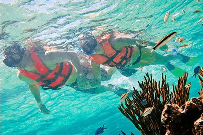 Snorkel en puerto morelos