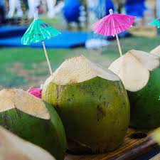 cocos frios bebidas de baja california sur