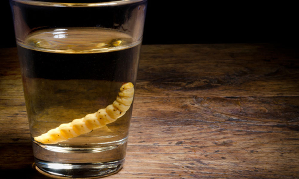 mezcal tipico de mexico
