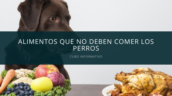 Alimentos que no deben comer los perros