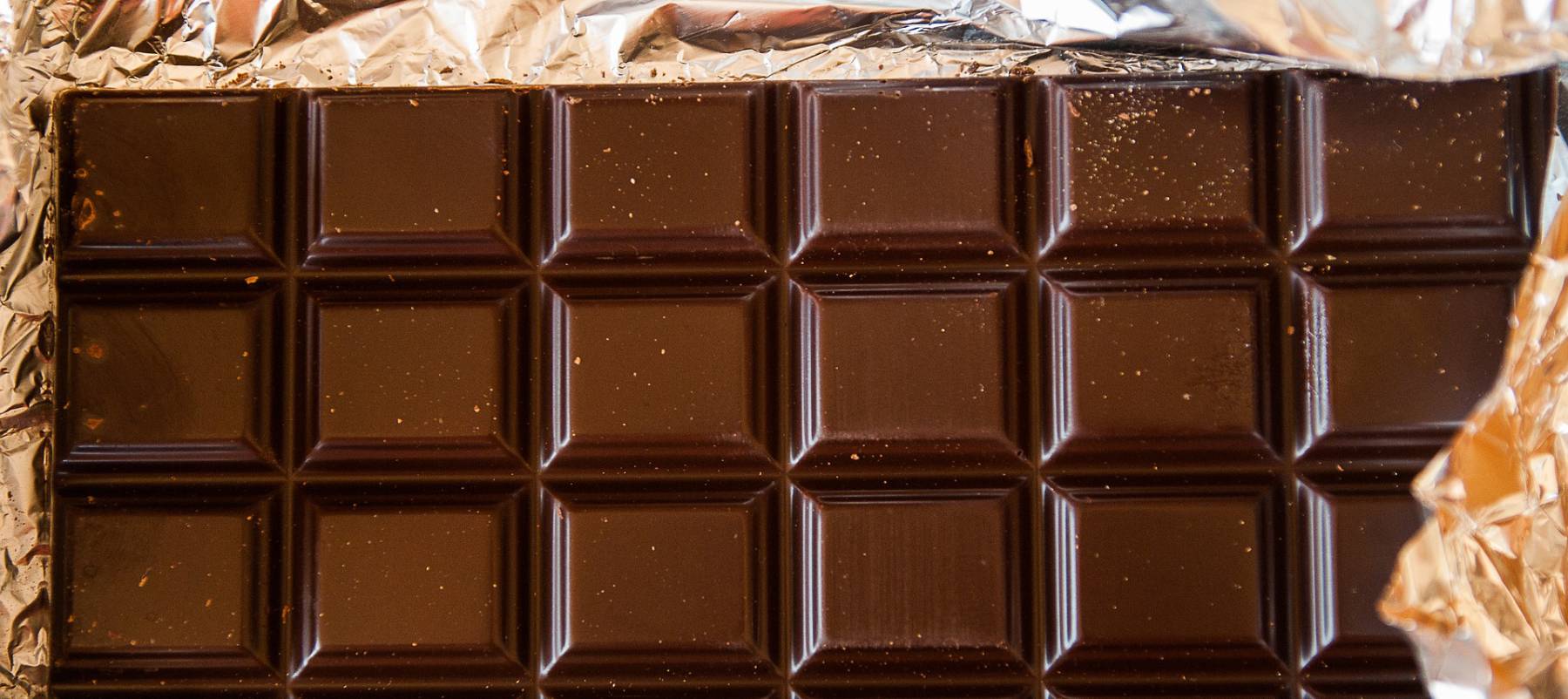 Chocolate comida danina para tus perros