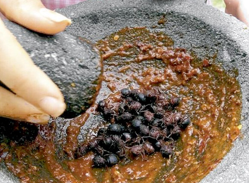 Salsa de hormiga chicatana
