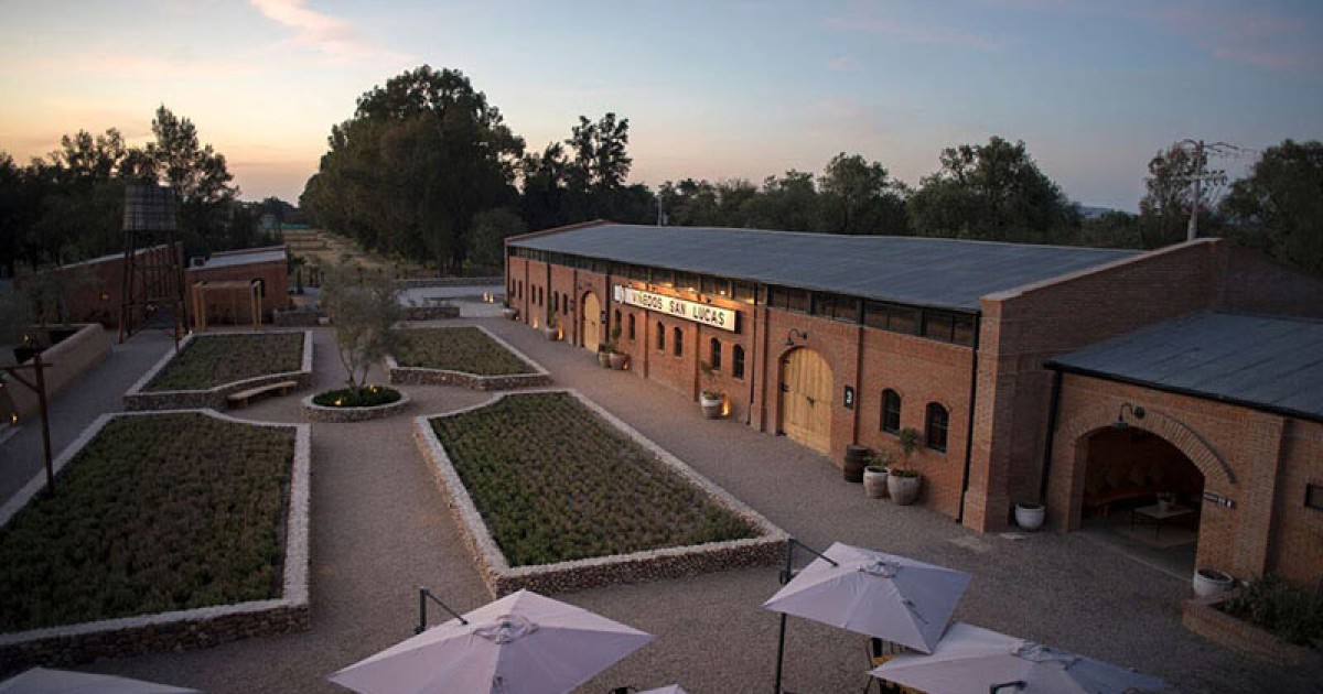 Viñedos que ver san miguel de allende