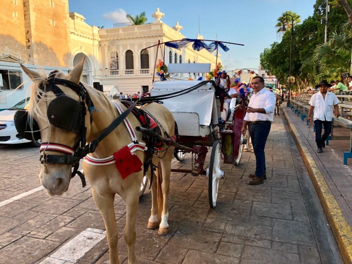 actividades de merida - paseo en caballo