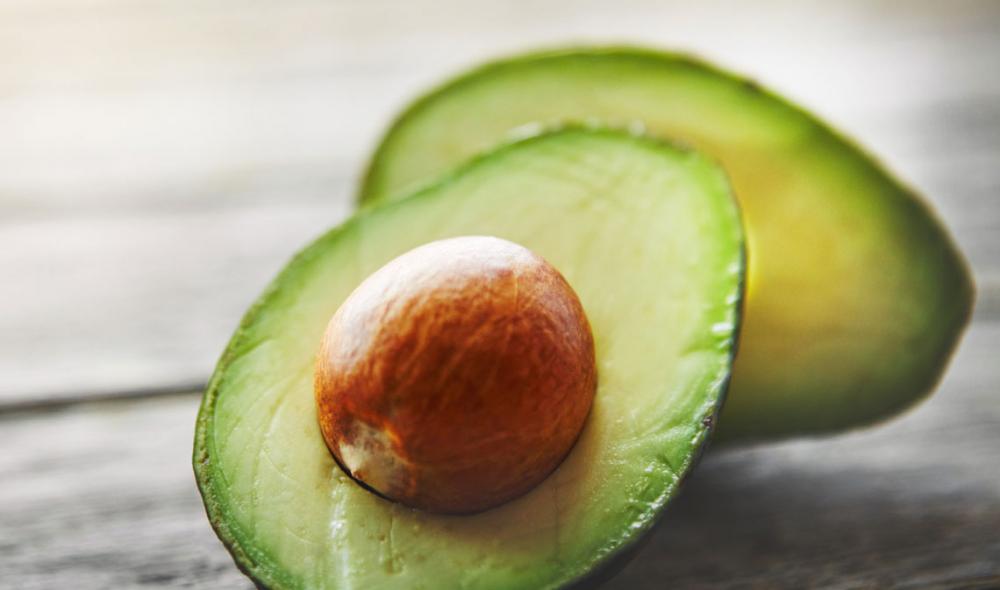 aguacate comida que no debe comer tu perro