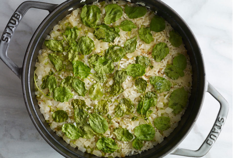 arroz de chepil oaxaca comida