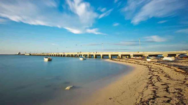 progreso medida que hacer y ver