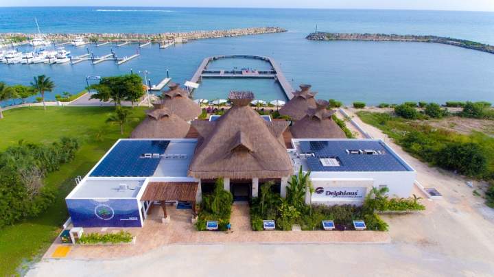 Delphinus Puerto Morelos