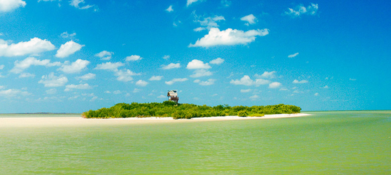 isla de la pasión holbox