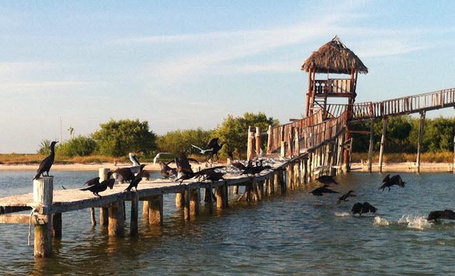 isla pajaros holbox
