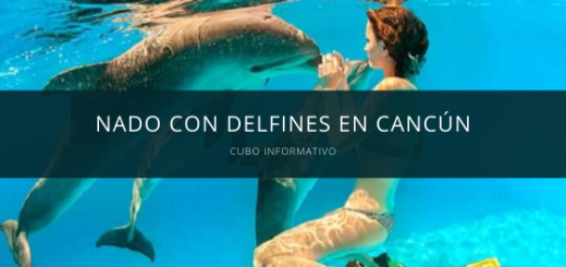 nado con delfines cancun
