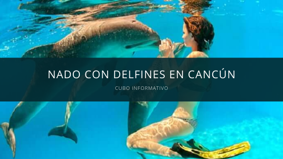 nado con delfines cancun