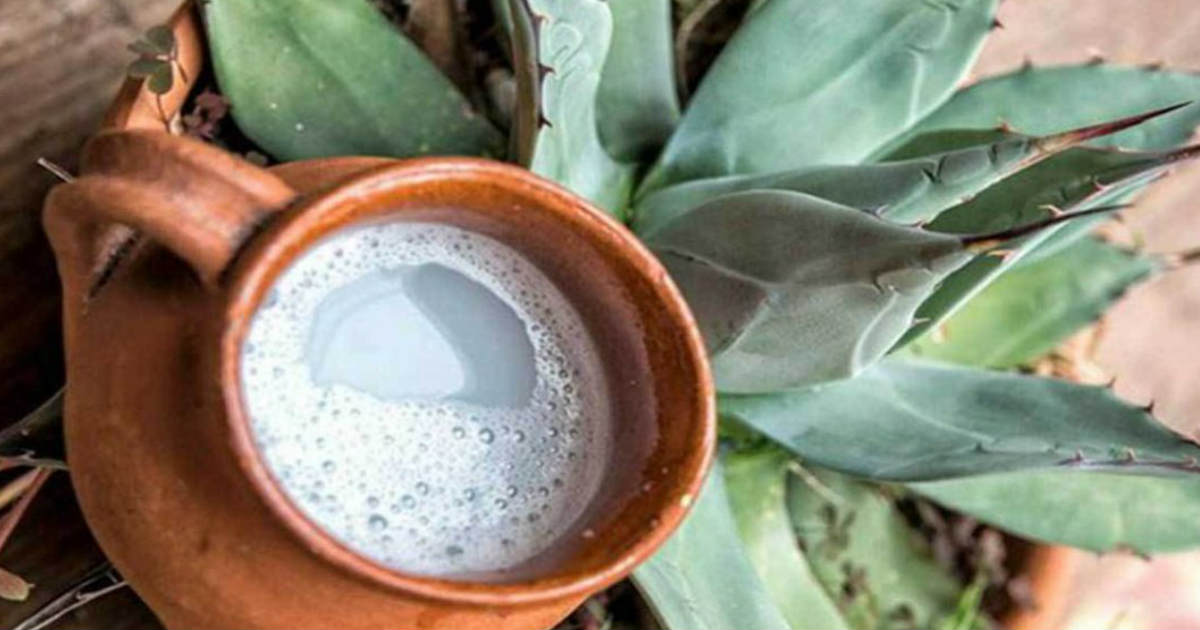pulque tlaxcala gastronomia