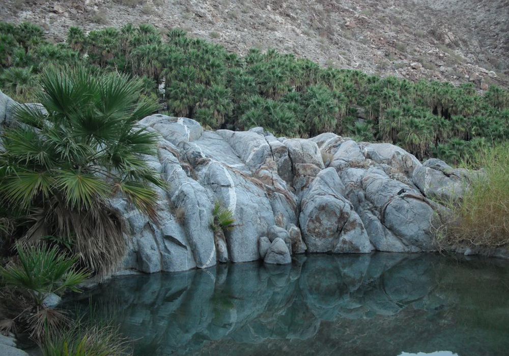 Cañón de Guadalupe