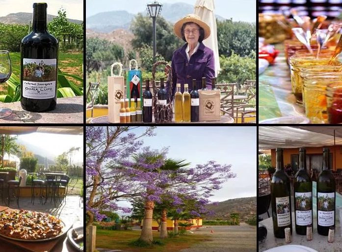 Casa de doña Lupe valle de- guadalupe