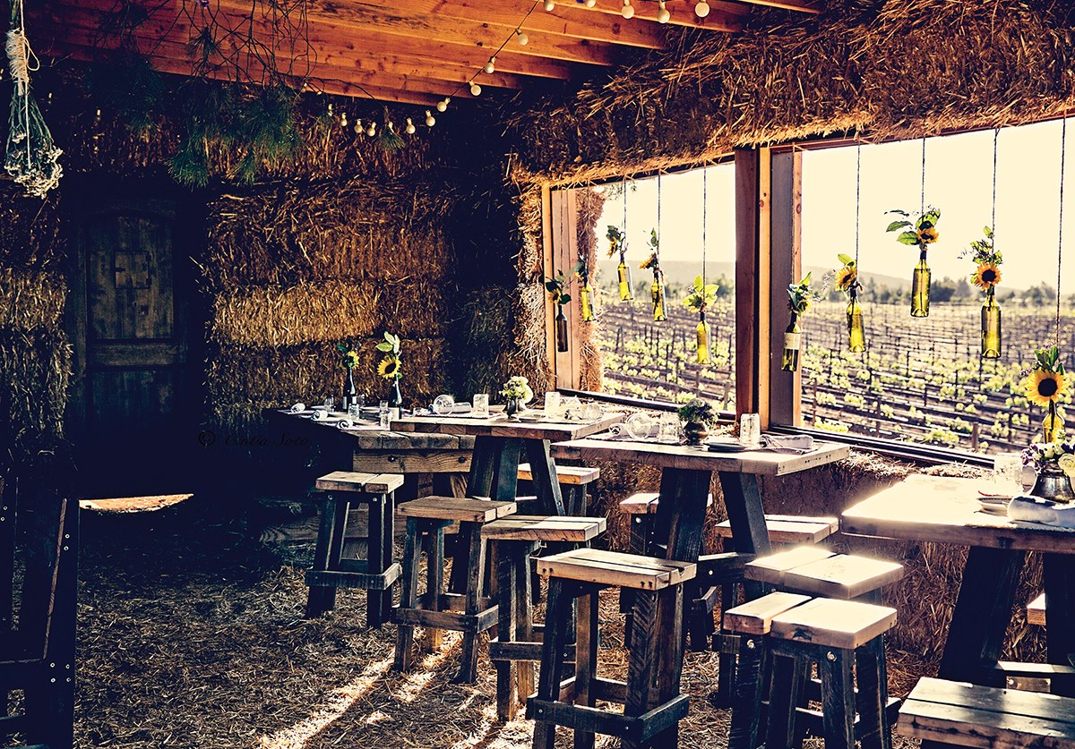 Deckmans valle de guadalupe