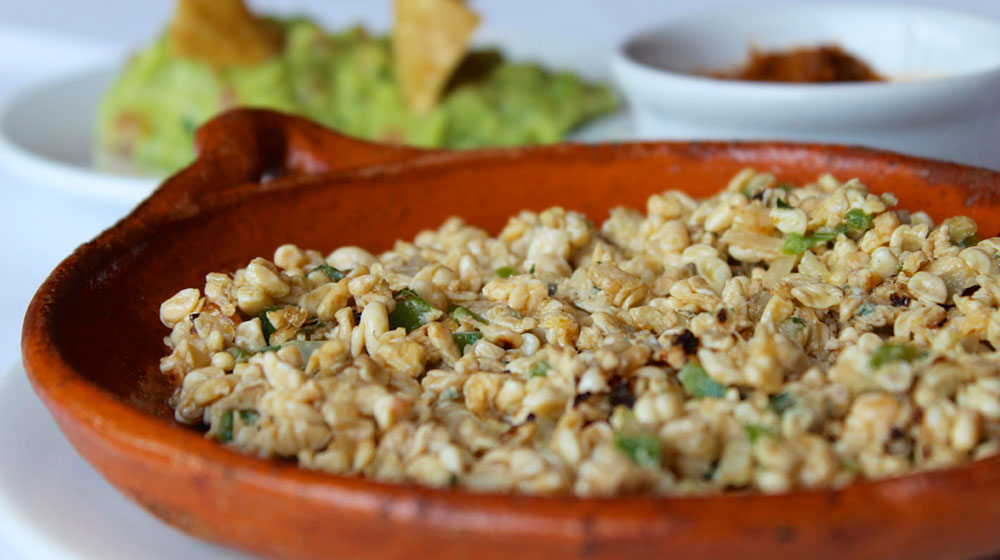 Escamole comida de hidalgo