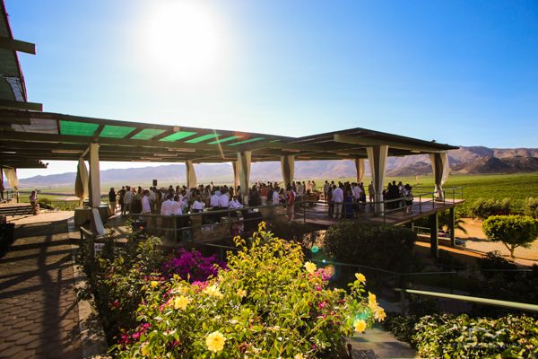 La cetto valle de guadalupe