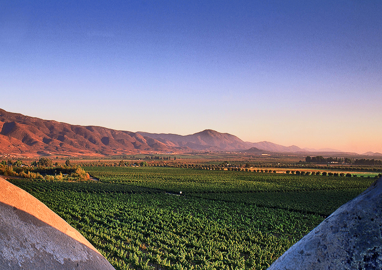 Monte Xanic valle de guadalupe