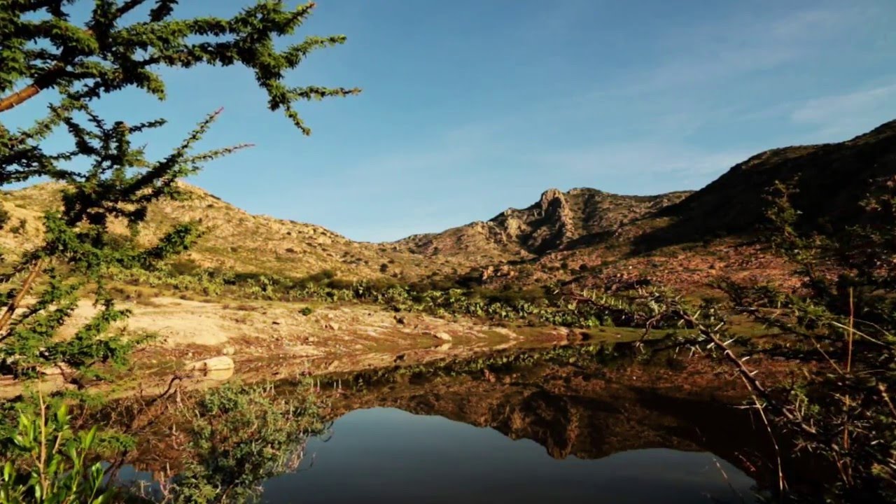 Municipio de El Llano