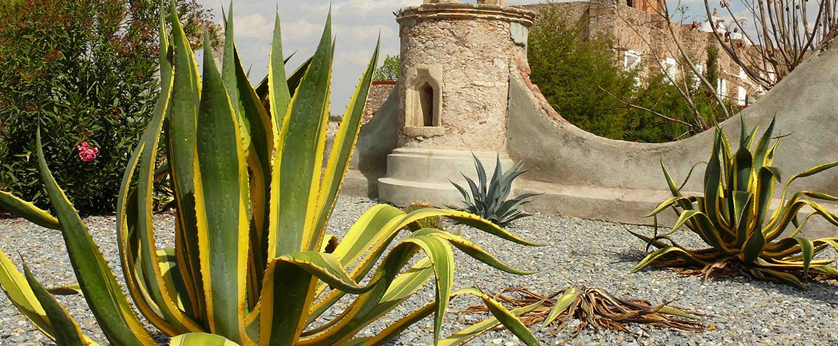 Municipio de Pabellón de Arteaga Aguascalienres