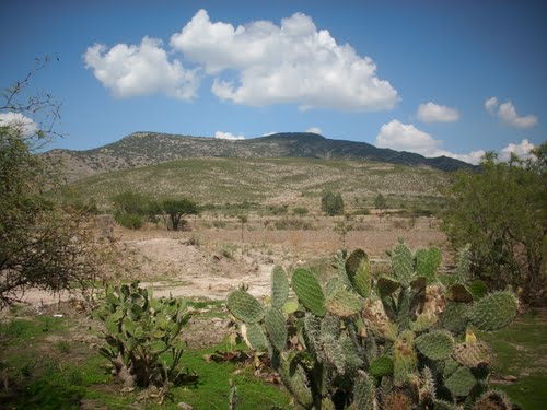 cerro Juan Grande