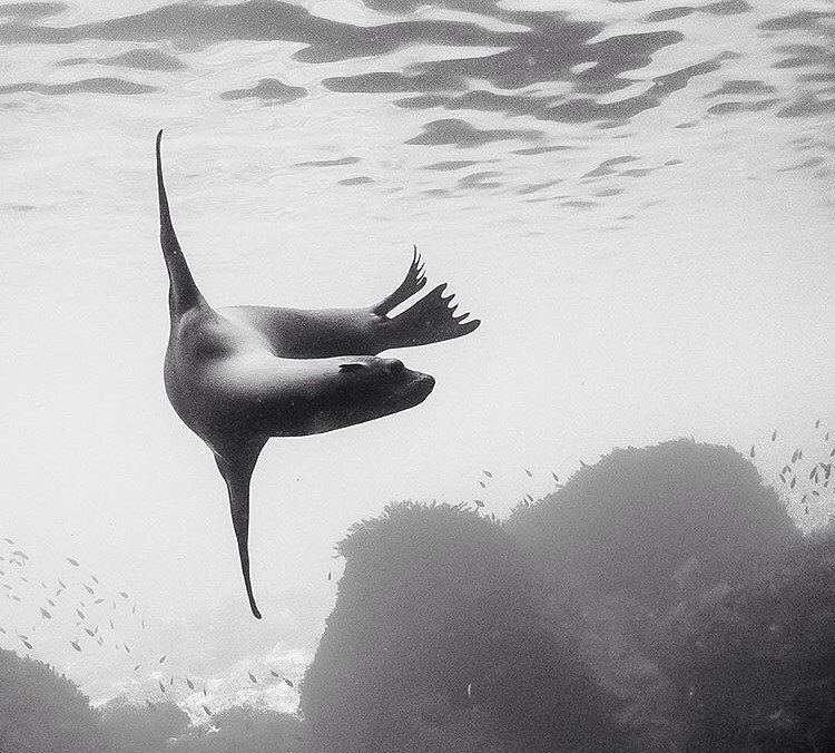 loreto atractivo cercano a baja california sur