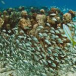 museo subacuatico del arte cancun