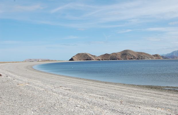 Playa la Gringa