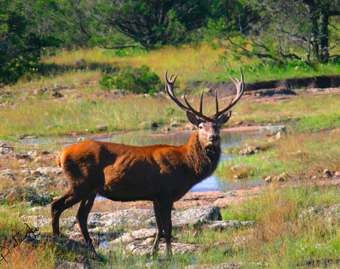 sierra fria montaña aguascalientes
