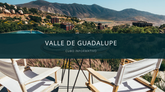valle de guadalupe