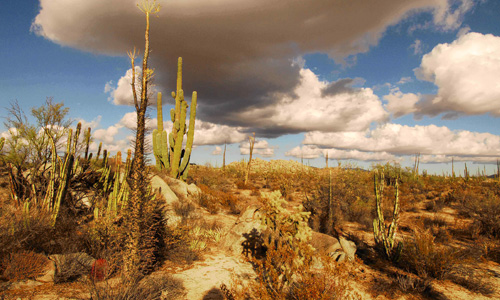 valle de los sirios ensenada