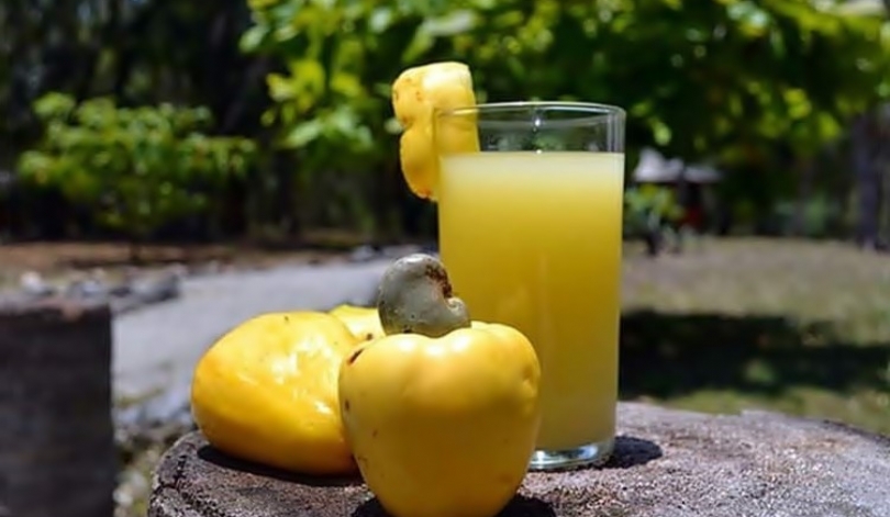 Batida de cajú
