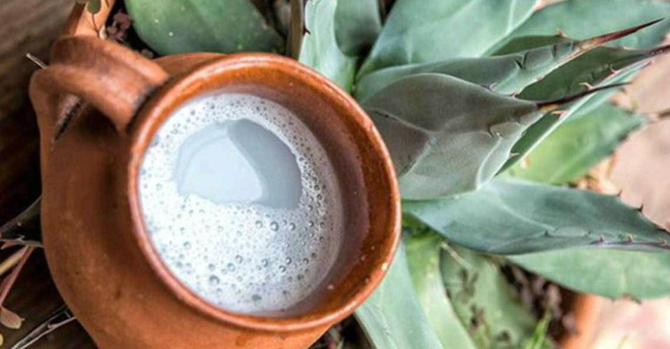 El Pulque de Huitzilac morelos bebidas