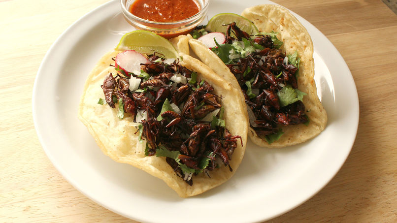 Tacos de chapulines al ajillo