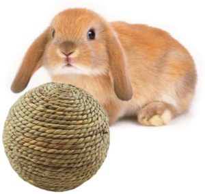Toy-Ball-Natural-Grass-Ball-juguetes-conejos