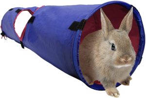 Tunel para conejo juguetes