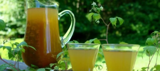 bebidas Típicas de Morelos