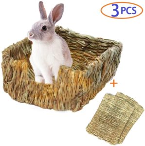 cama de cesped para conejos