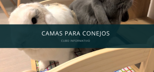 camar para conejos