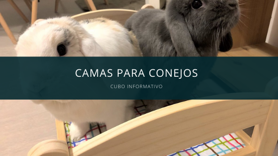 camar para conejos