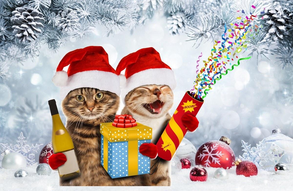 graciosas invitacion navidad