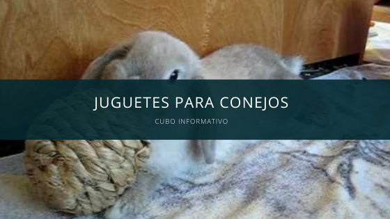 juguetes para conejos