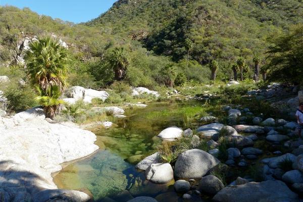 Boca de la Sierra que hacer y ver en los cabos