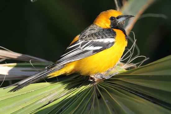 Estuario y Santuario de Aves San José