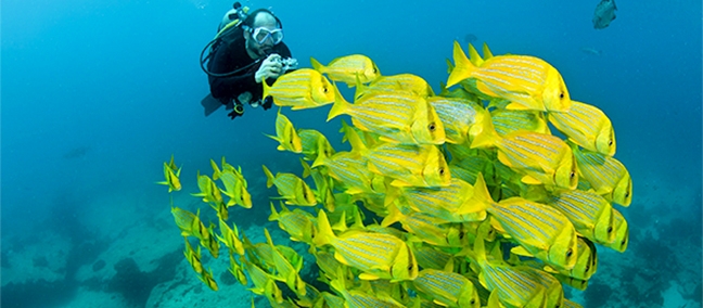 Parque Nacional Cabo Pulmo