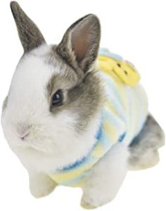 Ropa con parche de caracoles