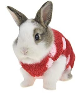 Ropa de invierno con forro polar