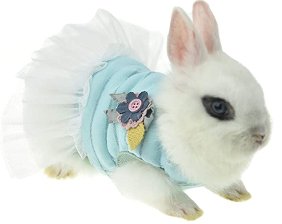 Vestido azul para conejo