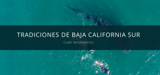 que hacer en los cabos